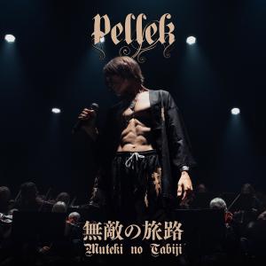PelleK的專輯Hikari no Michi e (光の道へ)