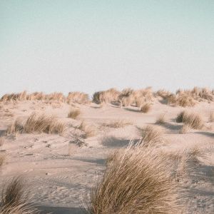Listen to Relaxation song with lyrics from Sleepy Times