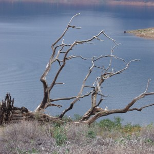 收聽Ray Williams的Everytime歌詞歌曲