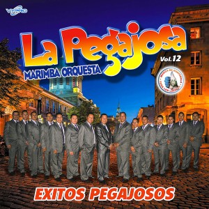 Exitos Pegajosos Vol. 12. Música de Guatemala para los Latinos
