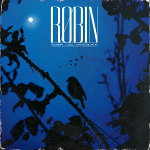 ดาวน์โหลดและฟังเพลง Robin (Explicit) พร้อมเนื้อเพลงจาก Mobba