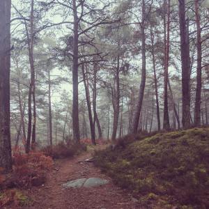 Listen to Deep Sleep Inside the Nest song with lyrics from Deep Sleep