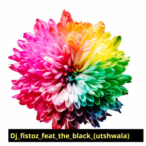 The Black的專輯Utshwala