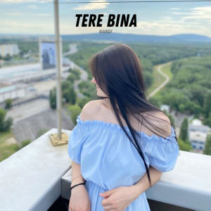 ดาวน์โหลดและฟังเพลง Tere Bina พร้อมเนื้อเพลงจาก Nainsy