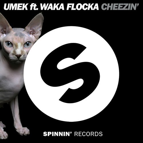 Cheezin' (feat. Waka Flocka Flame) [Instrumental Mix] (Instrumental Mix)