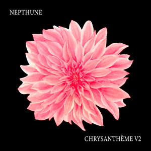 Listen to Chrysanthème V2 (Explicit) song with lyrics from Nepthune