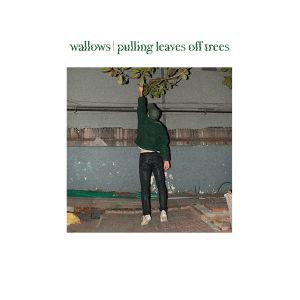 ดาวน์โหลดและฟังเพลง Pulling Leaves off Trees (Explicit) พร้อมเนื้อเพลงจาก Wallows
