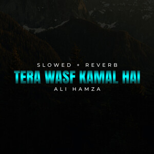 Album Tera Wasf Kamal Hai Lofi from Ali Hamza