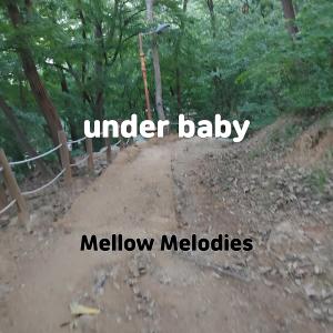 Mellow Melodies的专辑under baby