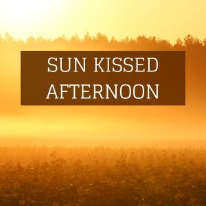 Steve Blame的專輯Sun Kissed Afternoon