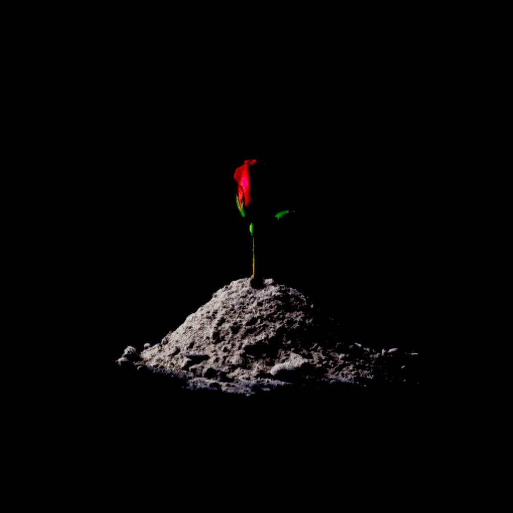 Elixir (feat. Paulo) (Explicit)