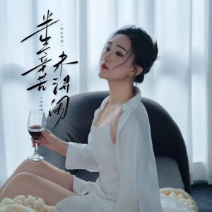 Album 半生辛苦未得闲 from 