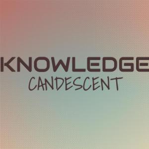 Various Artists的專輯Knowledge Candescent