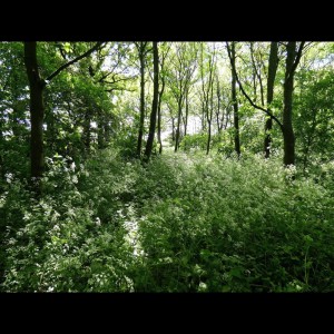 收听Spa Music Relaxation的This City歌词歌曲