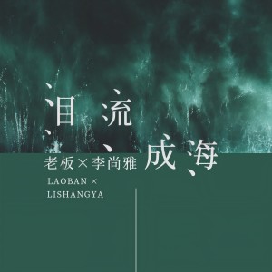 Listen to 泪流成海 (DJ武圣雄咚鼓版) song with lyrics from 老板
