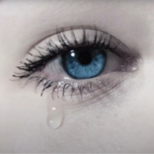 ดาวน์โหลดและฟังเพลง La belle พร้อมเนื้อเพลงจาก Sylvain Archambault