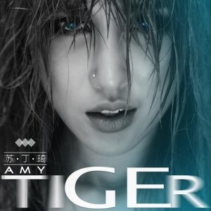 ดาวน์โหลดและฟังเพลง Tiger พร้อมเนื้อเพลงจาก 苏丁琦