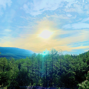 收聽Magdy Haddad的Lets' love歌詞歌曲