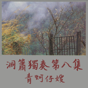 Album 洞簫獨奏第八集 from 郭大诚