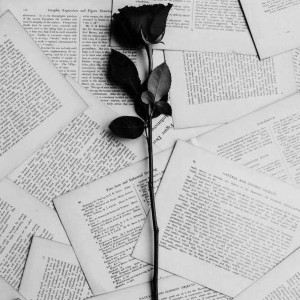 Album La rose et le papier from Fracas