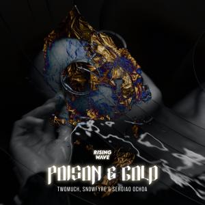 Listen to Poison and Gold song with lyrics from Twomuch