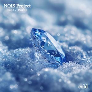 Album cold (Feat. Marco) (cold (Feat. Marco)) from NOIS Project