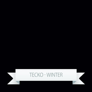 收聽Tecko的January (Radio Edit)歌詞歌曲