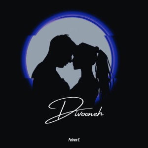 收聽Pedram E的Divooneh歌詞歌曲