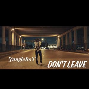 JUNGLEBOY的專輯Don't Leave (Explicit)