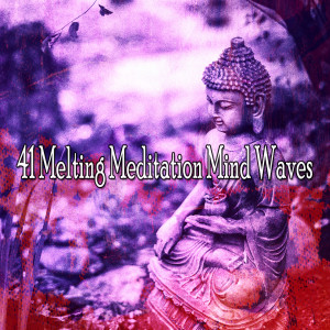 อัลบัม 41 Melting Meditation Mind Waves ศิลปิน Classical Study Music