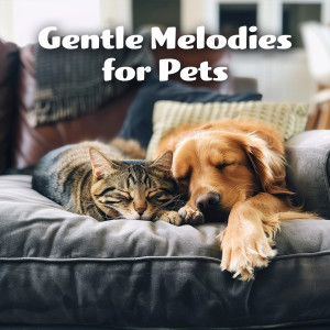 Gentle Melodies for Pets