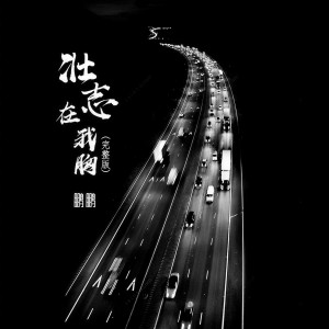 收聽鵬鵬音樂的壯志在我胸 (DJ版)歌詞歌曲