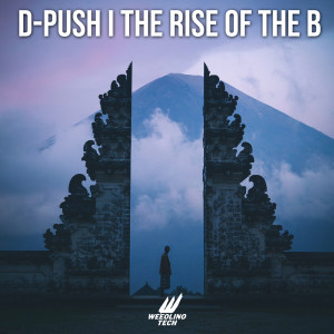 Album The Rise Of The B from D-Push