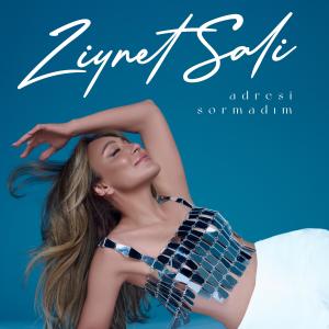 Ziynet Sali的专辑Adresi Sormadım