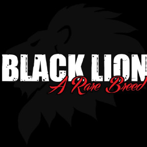 ดาวน์โหลดและฟังเพลง Let Me Show You Something พร้อมเนื้อเพลงจาก Black Lion