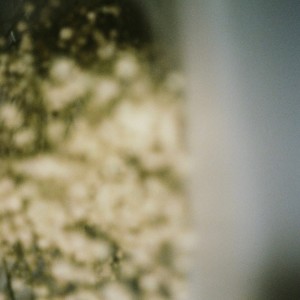Listen to without you i'm lost song with lyrics from The Field Tapes