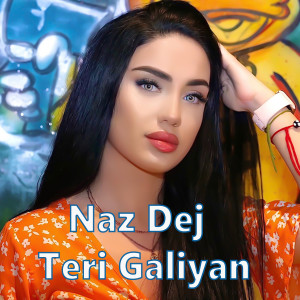Dengarkan lagu Teri Galiyan nyanyian Naz Dej dengan lirik
