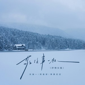 洋瀾一的專輯敬往事一杯（抒情女版）