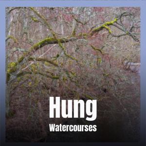 Various Artists的專輯Hung Watercourses