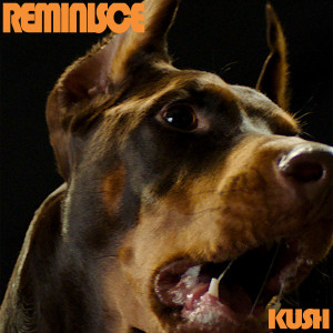 Listen to Reminisce (Inst.) song with lyrics from Kush