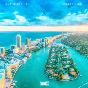 Album Luxury High (Explicit) from Ant Medicine
