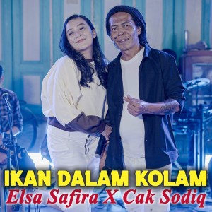 Ikan Dalam Kolam dari Elsa Safira