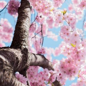Dengarkan Lost in Thought lagu dari Meditation Rain Sounds dengan lirik