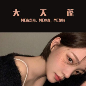 Dengarkan 大眠（DJ咚鼓版） lagu dari MC夜漠离 dengan lirik