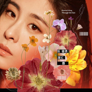 Listen to 渡紅塵 song with lyrics from Zhang Bichen (张碧晨)