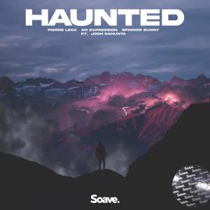 Album Haunted (feat. Josh Sahunta) from Spinner Sunny
