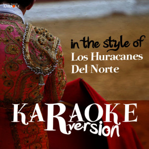 收聽Ameritz Spanish Karaoke的911 (Karaoke Version)歌詞歌曲