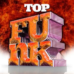 收聽Funk 2016的Funky Town歌詞歌曲