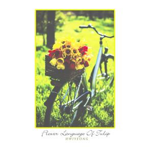 Listen to Flower Language Of Tulip song with lyrics from 라임파이