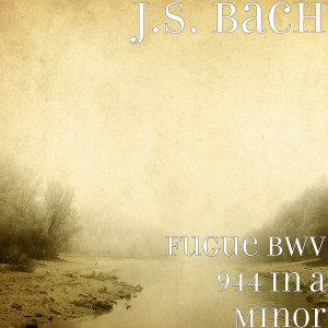 Listen to Fugue Bwv 944 in a Minor song with lyrics from Terry Charlston
